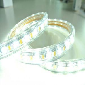 2 Color LED Strip Lighting SMD5630 LED Flexible Rope Light