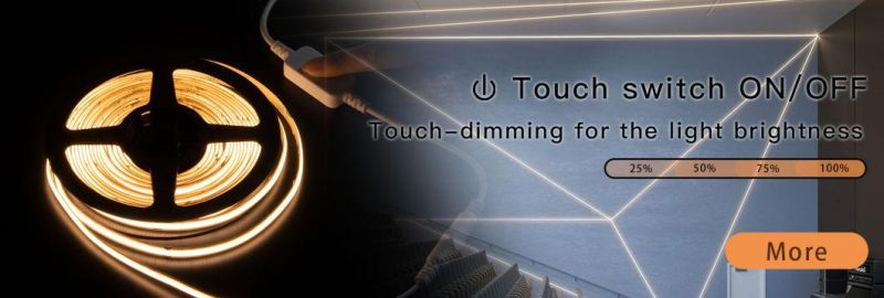 Higher Brightness 220V Input Directly 5m IP20 Indoor LED Strip Light