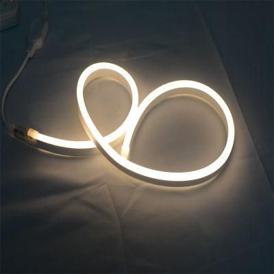 PVC Made AC120V 230V SMD2835 LED Neon Lighting Decoration