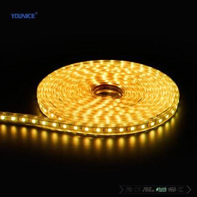 Factory OEM 200lm/W Super Bright DC24V 5000K LED Flexible Tape Strip