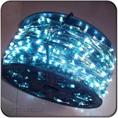 Toprex Decor 2022 Hot Sale Holiday Lighting IP65 Cuttable Safe LED Clip String Lights