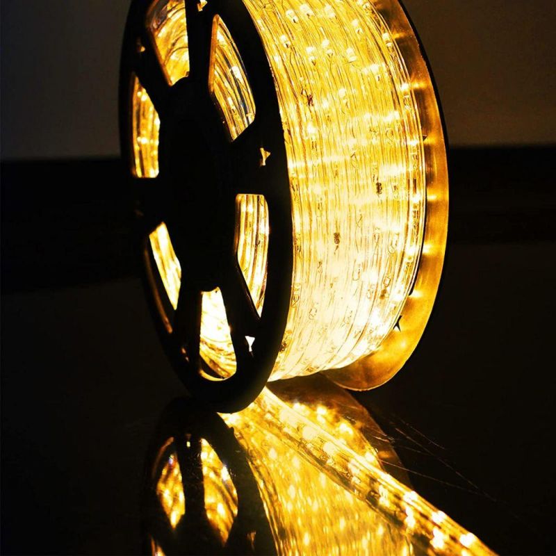 Factory Direct High Quality LED Strip Lights RGB Strip Light Kit Waterproof 5050 LED Holiday Light