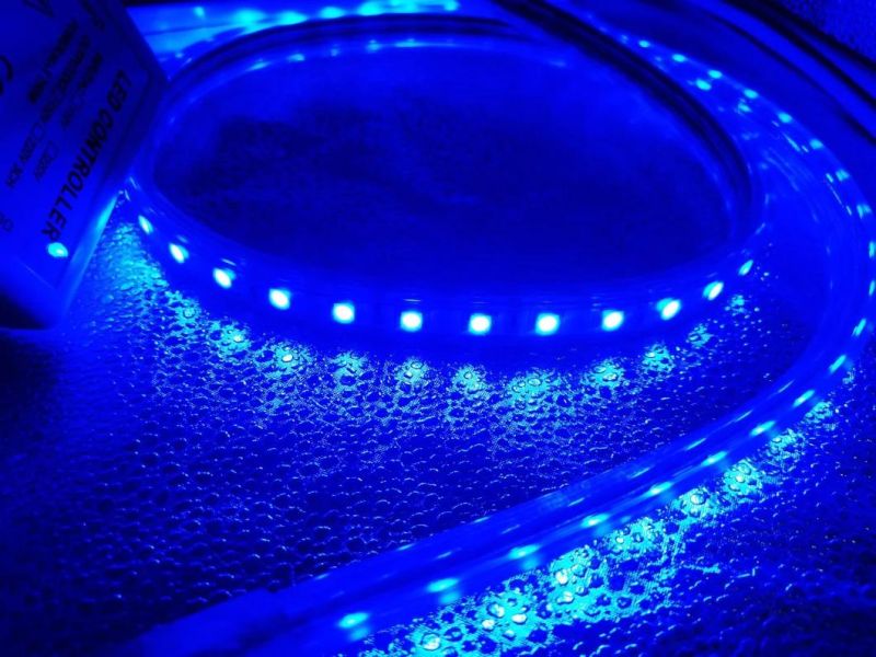 Factory Price CE RoHS Approvaled 5050 RGB Multi Color Party Light
