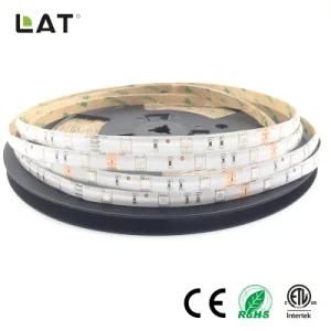 High Brightness DC12 DC24V IP20 IP65 SMD5050 Blue 10m 120LEDs Ce ETL UL Flexible LED Strip Tape