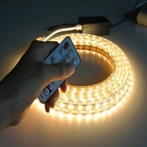 Ww 110V Cheap LED Strip Light 120LED/M SMD5630 LED Strip Light