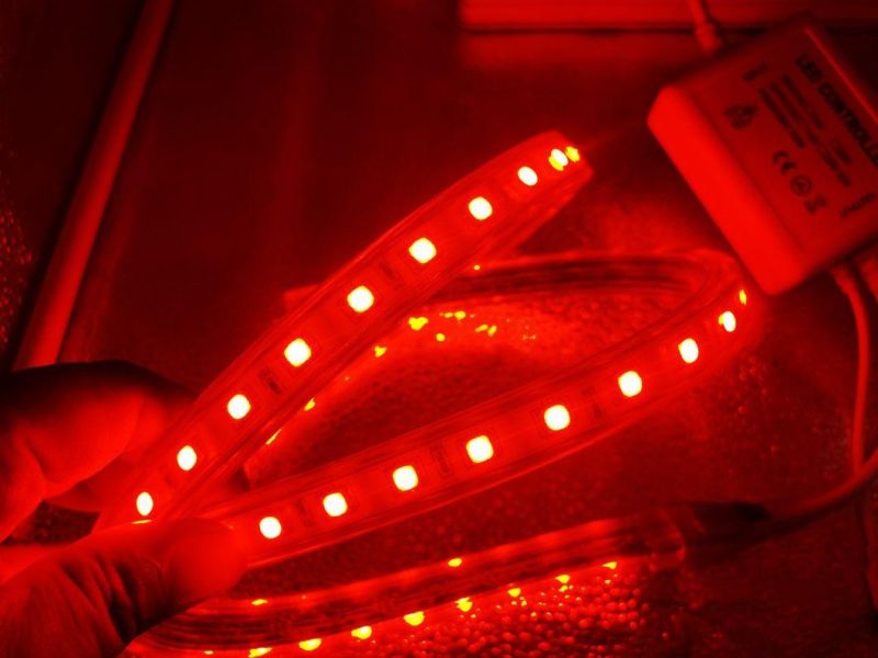 High Quality SMD5050 Christmas RGB Color LED Strip