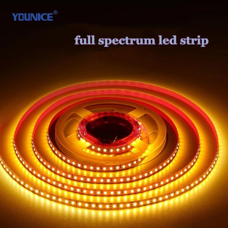 CRI>95 Full Spectrum LED Strip for Antique Shop