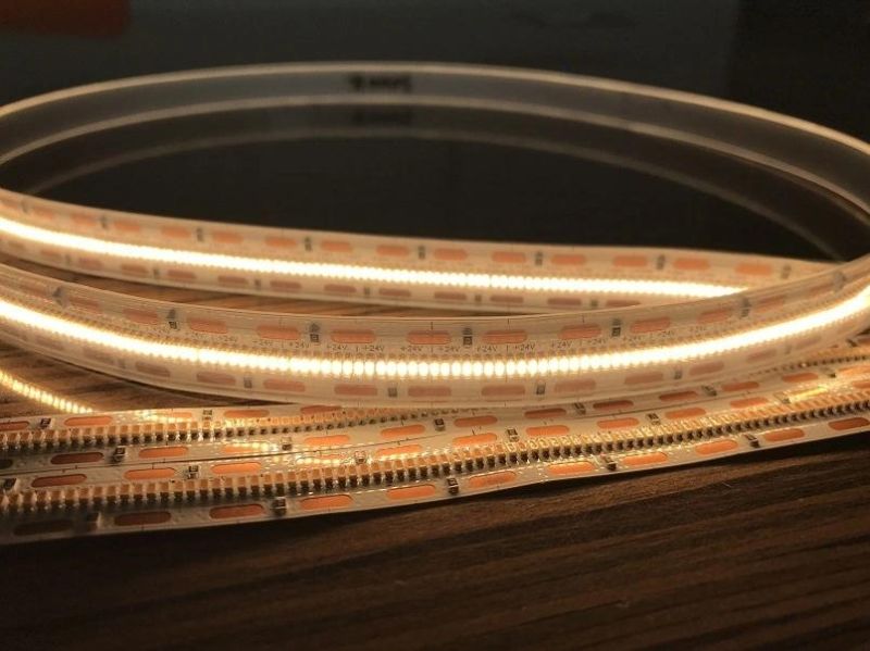 L2.1mm * W1.0mm SMD2110 Flexible LED Strip 700 LEDs/Meter High Efficiency and High CRI LED Strips Competitive LED Rope Light Strip for Decoration