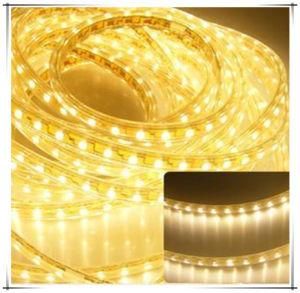 5630 High Lumen Flex LED Strip Color Stripe 2835 120V