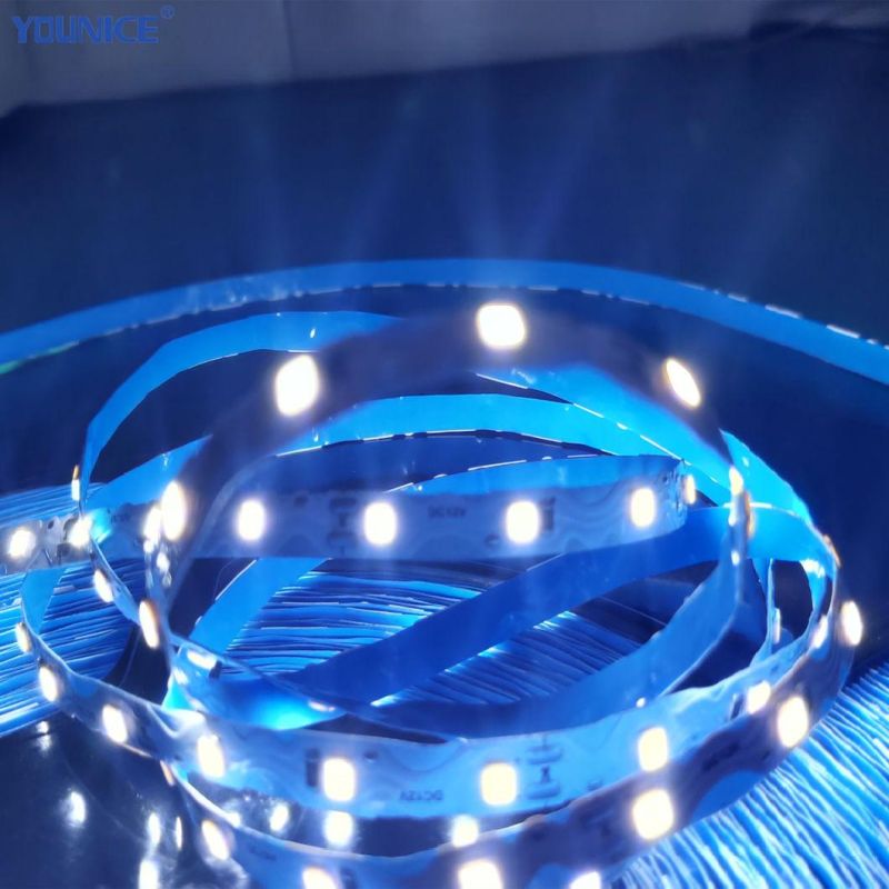 Illuminated Signs 10m Long Cascade S Type Widely Use LED Flexible Strip