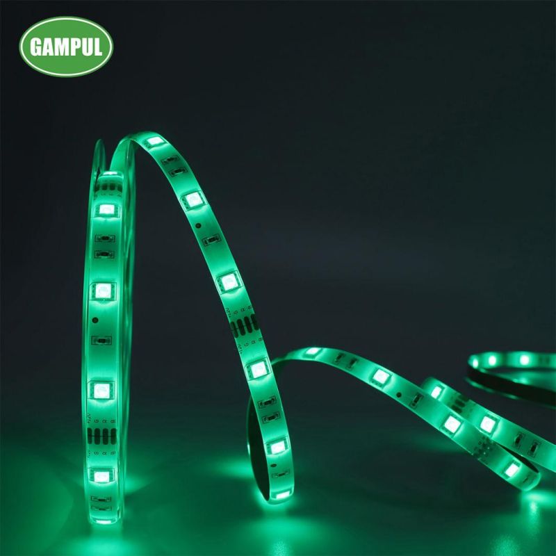 Smart Multicolor Flexible WiFi LED Neon Light for Decorations