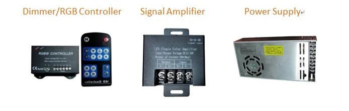 High Quality 60LEDs/M SMD5050 RGBW LED Strip 12V, 24V DC with IEC/En62471