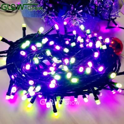 Smart RGB Christmas Tree LED String Light Fairy Light with 12 Modes Tuya System for Home Garden Party Wedding Decoration