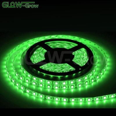 5m 60LEDs/M 4.8W/M IP44 12V Waterproof Flexible SMD RGB LED for Bar Wedding Home Christmas Decoration