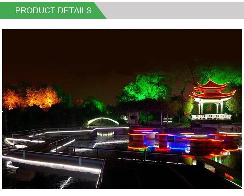 IP67 Waterproof DMX512 Magic Color Flexible Neon LED Strip Lighting