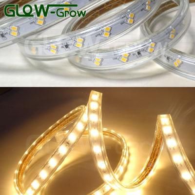 Outdoor Use IP65 2835 60*2LEDs/M LED Strip Light for Home Decoration