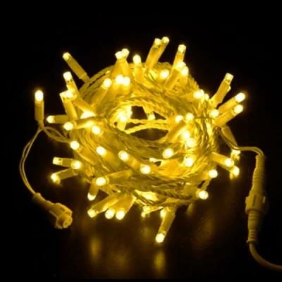 Holiday Decoration Outdoor Lighting LED String Light