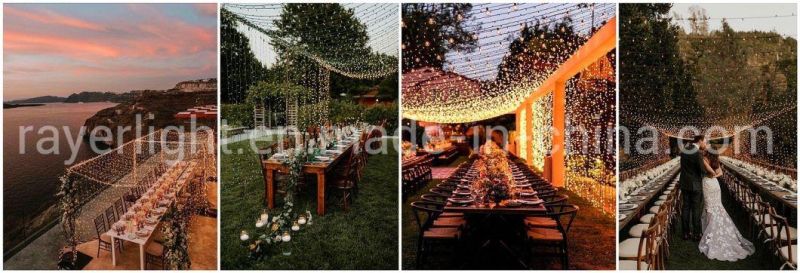 Outdoor Removable Fall String LED Curtain Lights Wedding Decoration Light