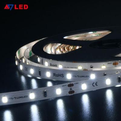 Luces LED 5m 5 Year Warranty Dimmable Cuttable Flexible LED Strip 24V 9.6W/M Under Counter LED Strip Lights