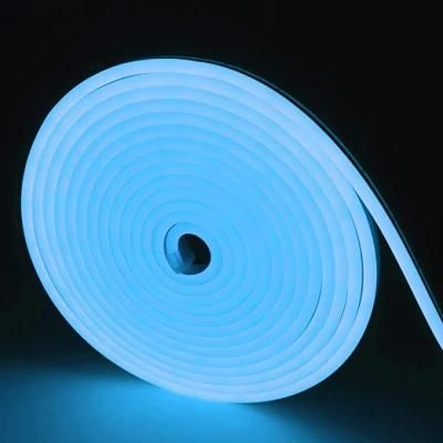 LED Lighting Multi Color Neon Flexible RGB LED Waterproof Tape Decoration Light Strip
