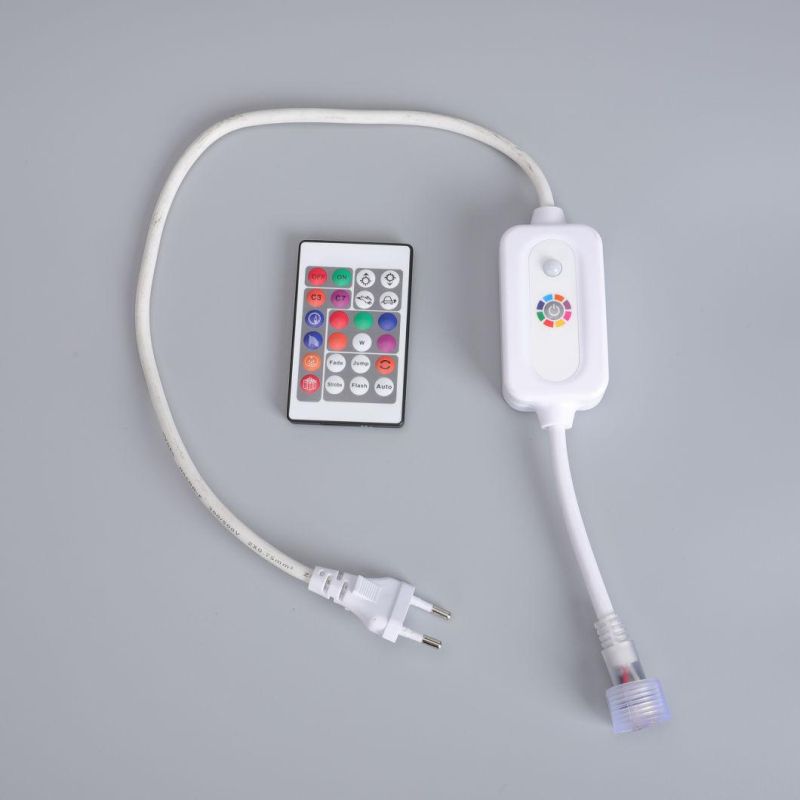 Christmas Decoration 110V/230V LED Flexible Colorful Light