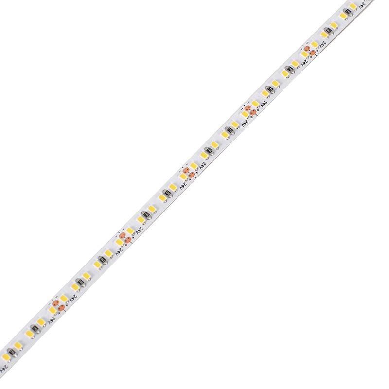 24V Led Lights 2216 240Leds/M 5Mm 12W/M Cri>90 High Bright