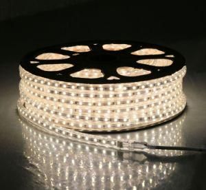 High Bright 60LEDs/M 50m/Roll RGB 110V 220V Waterproof LED Strip with Ce RoHS