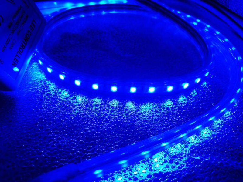 Factory Price SMD5050 RGB 50m Christmas Lights for Home IP67 Waterproof