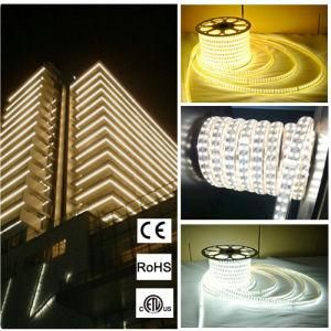 AC220V Outdoors Double Line Flexible 5050 LED Strip