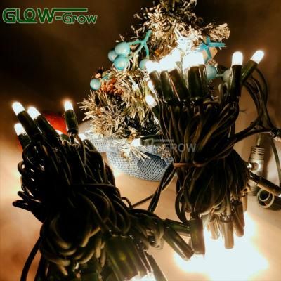 Low Voltage IP65 Waterproof Warm White LED String Light for Christmas Home Holiday Halloween Decoration