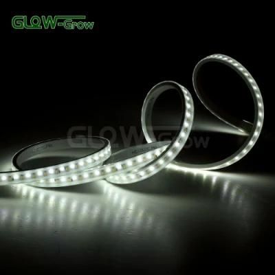 IP65 Waterproof 120V Dual Color LED Strip Light for Home Decoration