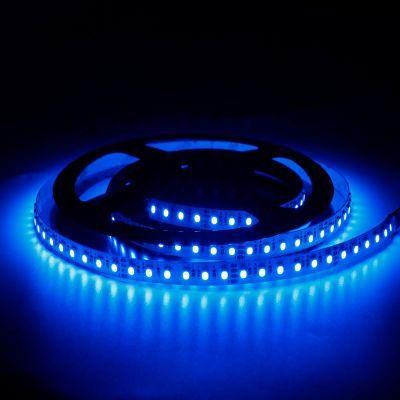 Factory Price 24V 120LED 240LED SMD 2835 CRI90 LED Strip Light with 5 Years Warranty