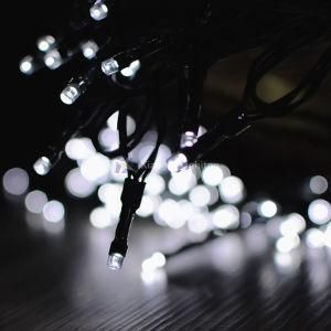 LED String Light Black Wire for Outdoor Indoor Decoration From Direct Christmas Light Factory