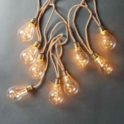 Glass Bulb String Lights with Warm White Xmas Light Chain