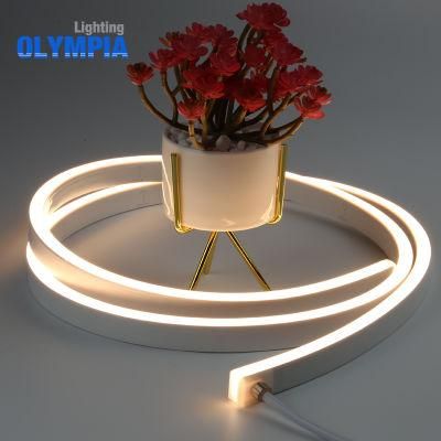 LED Strip 5050 Neon Sign Waterproof Swimming Pool Light