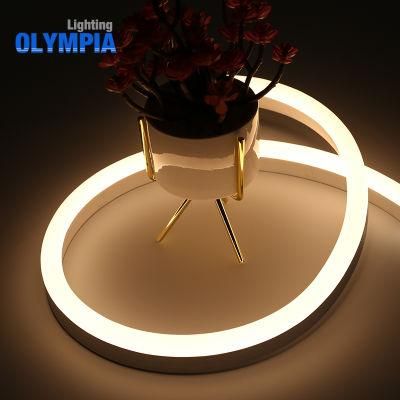 Ce RoHS Approved Low Voltage Round Shape LED Strip