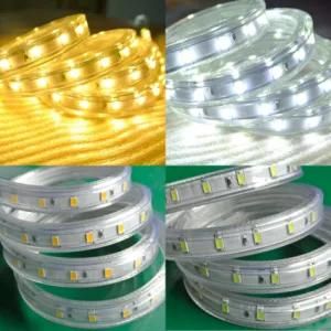 High Voltage 220V Cheap LED Strip Light 5630 Cold White LED Rope Light