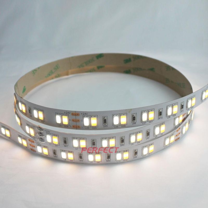 High Lumens 120LEDs/M 24VDC SMD 5630 CCT Adjustable LED Strip