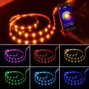 16.4FT/5m Smart LED Light Strip Voice Controlled Smart LED Light String for Party Home Lighting