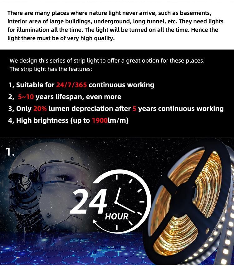 2022 New Long Life High Quality Flexible LED Strip Light for Indoor SMD 2835 Low Voltage DC 24V Super Bright Heat Resistant 5m