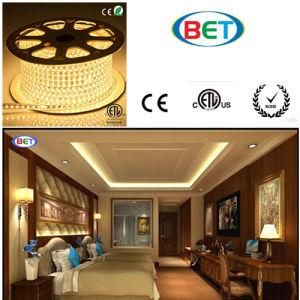 Shenzhen Factory Waterproof 5050 120V 60LEDs/M ETL LED Strip