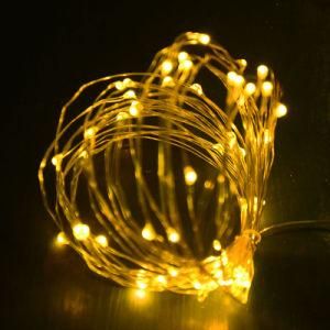 USB Holiday Light Copper Wire String Light / Warm White