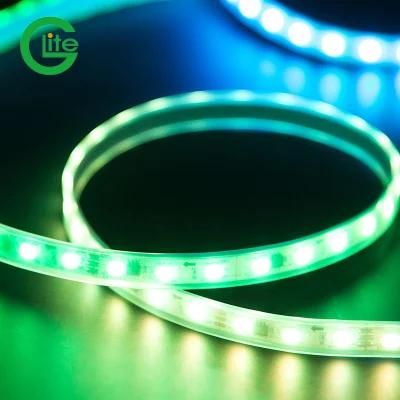 High Quality Ws2811 RGB Pixel LED Light 30LED/M Waterproof IP67 Outdoor Strip