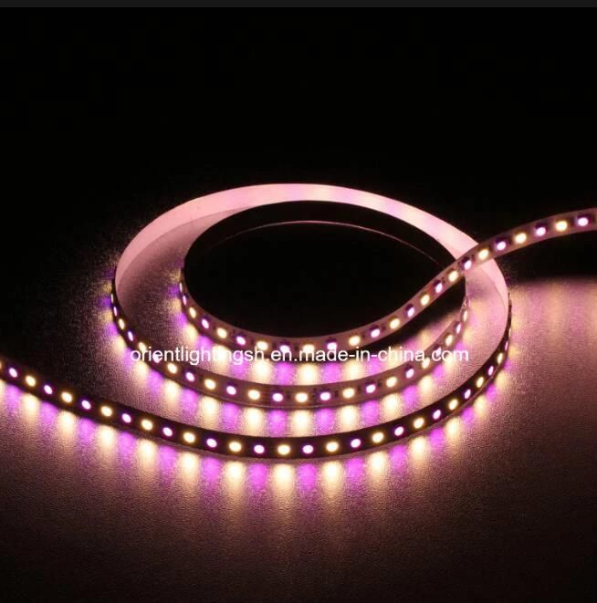 UL IP66 RGB Artificial Intelligent LED Flexible Strip Light