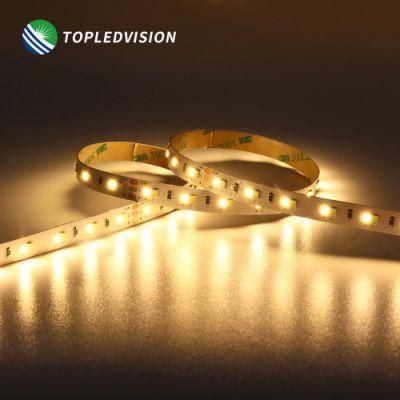CCT Waterproof Flexible LED Light Strip SMD2835 120LEDs/M 16W for Indoor/Outdoor Light