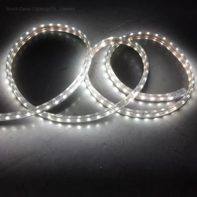 LED Rope Light for Indoor/Outdoor Decoration Great Waterproof Function IP65