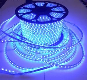 China Manufacturer Customized Product AC220V LED Strip DC6V 12V 5mm 8mm 12mm PCB RGB 4.8W/Meter Flexible LED Strip Light