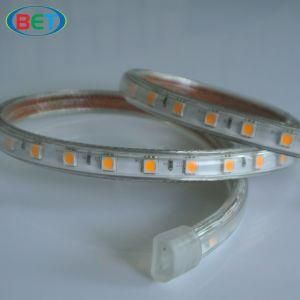 SMD5050 Holiday Decoration LED Strip for Indoor and Outdoor Light