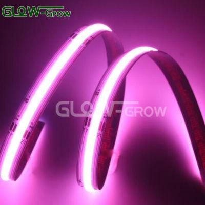 14W/M CRI&gt;90 24V/12V Flexible RGB COB LED Strip Light China Direct Buy with Remote Controller