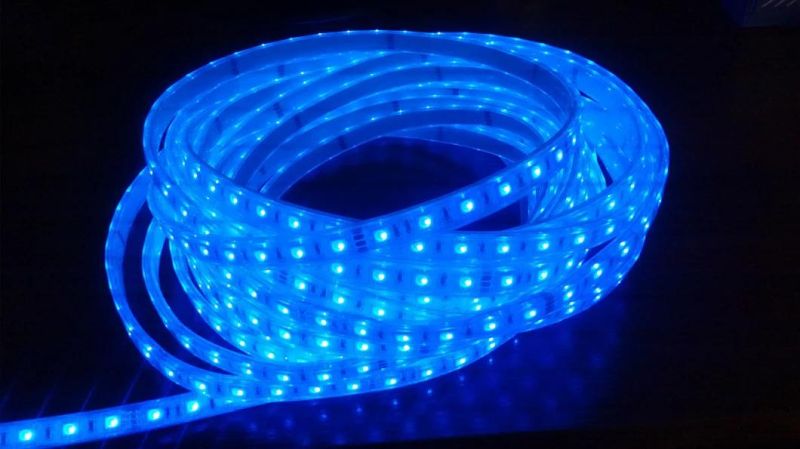 High Brightness Neon Light DC12V IP68 Waterproof SMD 50502 RGB LED Strip